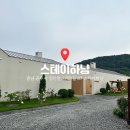 스테이 하냥 이미지