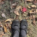 대경무역 | [11월 1주] 짧고 굵게 즐긴 가을 일상