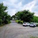 역돔횟집 이미지