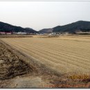 삼웅마을회관 이미지