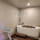 뉴플레쉬