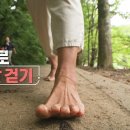 [926회] 생로병사의 비밀 / [제대로 맨발 걷기] 꺼지지 않는 맨발 걷기 열풍에 공원, 산, 바다, 심지어 도심 거리에서도 신발을. 이미지