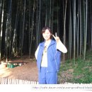 ［담양］대나무 테마공원 이미지