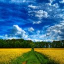 민생 행정사사무소 이미지