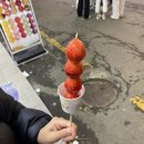 해가빛 이미지