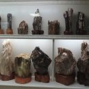 중원대학교박물관 이미지