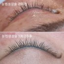 속눈썹할걸 네이버블로그