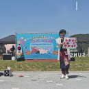 온사랑펫 네이버블로그