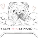 씨에스씨 이미지