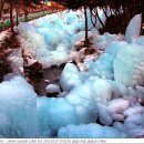 금원산 자연휴양림 이미지