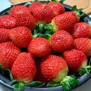 영신청과 이미지