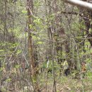 꿈나무유치원 이미지