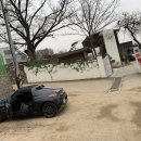 고양이 카페 여기 이미지