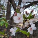 스마트폰 기초 활용 이미지