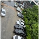 사수금호스크린골프 이미지