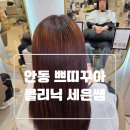 세은 | 안동 미용실 모발 클리닉 세은 디자이너 후기