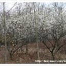 초안산근린공원 이미지
