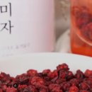 차안애