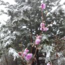 마이종합학습장 이미지