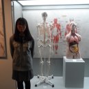 을지대학교 범석의학박물관 이미지