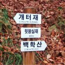 081204 속리산권 [18] 백학산 이미지