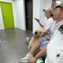 아이랑 제주여행 추천코스! 전세계 단 한곳 제주유리삼촌 제주도원데이클래스 후기