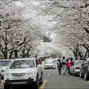 왕인박사유적지 이미지