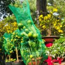 시장 앞 공터 이미지