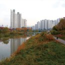 안양-안양-안양-515 이미지