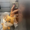 인더시티 명동(Inn The City Myeongdong) | 데이식스 정규4집 The DECADE 앨범깡 1탄 후즈팬분철 명동 올리브영 럭드후기