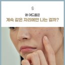 임한의원 이미지