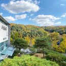 [분당 판교 산후조리원] 라크렘 산후조리원 계약