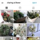 챠링스트릿플라워