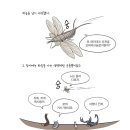 이다컴패니 이미지