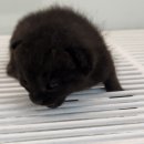 GS25홍대은하점 이미지