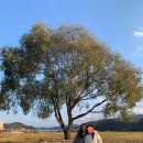 하당세탁소 이미지