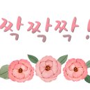 산드로롯데동탄점 이미지