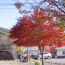 산외이발소 이미지
