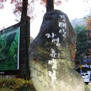 장태산휴양림 이미지