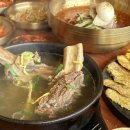 파주출판도시 맛집 갈비탕 냉면 육전 맛있는 신비면옥