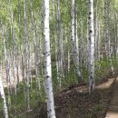 내린천아름펜션 이미지