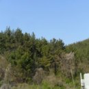 신두리보건진료소 이미지