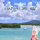 파리바게트 앞 교통섬 | [공지] 일본 이시가키 3박 4일 다케토미섬 포함 물놀이 여행 코스