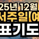 2025년 12월 둘째주 성서주일 대표기도문 이미지