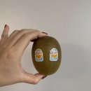 비옥상회 이미지