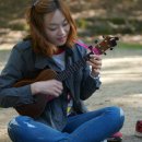 피크닉바람