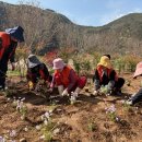 영춘생활체육공원 이미지