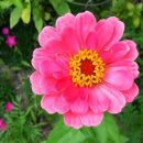 안석주내과의원 이미지