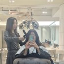 톤 온 톤 | 아르결 성수 톤다운 염색하고 온 후기 뚝섬역 미용실 추천 (feat. 태리 디자이너님)