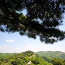 산성노가리 네이버블로그